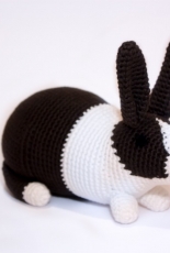 Dutch Bunny