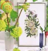 Passion Flower from a book