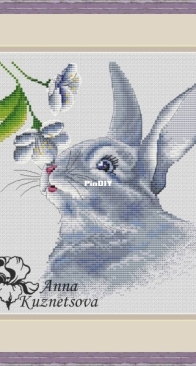 Rabbit by Anna Kuznetsova