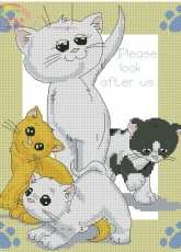 DMC RSPCA Perfect Pets K5482 Playful Kittens XSD