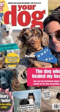 Your Dog - June 2026