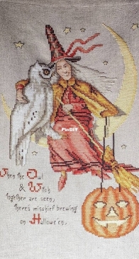 Witch and Owl Wall Hanging from Leisure Arts - Holidays in Cross Stitch Volume 2 PCS + XSD
