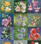 Heritage 12 Mini Florals by John Clayton xsd