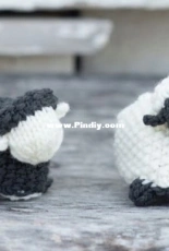 Black Sheep, White Sheep by Susan B. Anderson