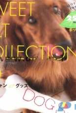 Sweet Felt Collection 10 / Japanese Edition