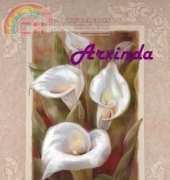 Arxinda - Calas Enmarcadas