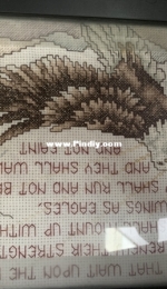Eagle Crossstitch