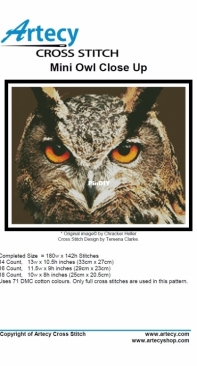 Artecy Cross Stitch - Mini Owl Close Up
