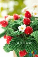 New Mommy Handmade DIY - Su Su Jie Jia - Susans Family - A053 - Strawberry - Chinese - Free