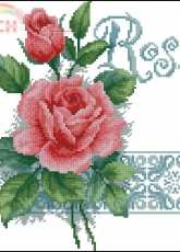 Jacky Lonen Rose