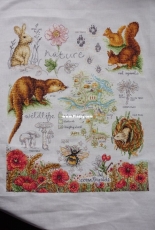 Anchor nature sampler