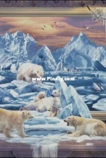 Bozenka 1001 arctic coming to life