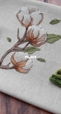 cotton sprig by Ksenia Titova