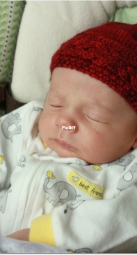 Smooches Baby Beanie by Kristen Jancuk - Free