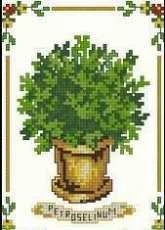 Vervaco 75.481 Parsley Herb pcs