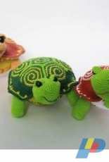 cute tortoise
