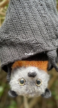 The Cheerful Chameleon - Charlyn Clark - Flynn the Flying Fox Bat