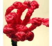 Meli Bondre - Camelia Shanahan - Grevillea flower - Free