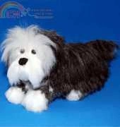 Pixie Kitten - Old Sheep Dog