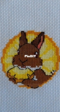 Rabbit Pineapple