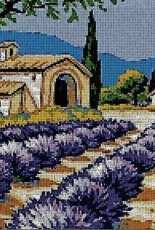 Mis Labores Pajlav-1 Campo de Lavanda / Planting of lavender