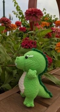 Crocodile