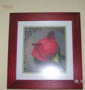red rose