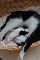 after old year 2019 we need a lazy day!!