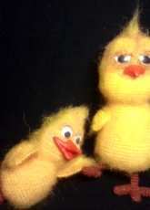 Chickens - Svetlana Meschenko