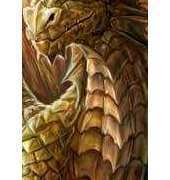 HAED HAEANSSK 104 Storykeep Forest Walk by Anne Stokes XSD