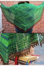 Soapy Turtle Designs-There Be Dragonflies Shawl by Rosi Garmendia