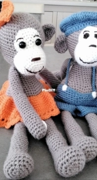 Monkey couple