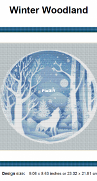 Counting The Stars - Winter Woodland