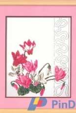 RTO R180 Cyclamen