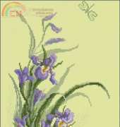 Charivna Mitt 232 İris
