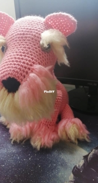 schnauzer