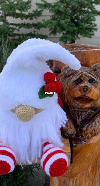 My favorite Christmas gnome!