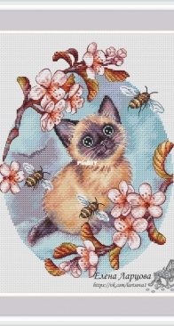 A Kitten Named Gav by Elena Lartsova