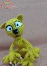 crazy cat