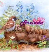 Arxinda - Nido