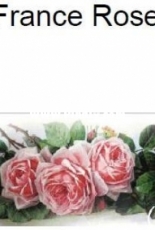 Golden Kite 2080 La France Roses (small) XSD