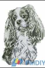 DMC DECO K5767 Cavalier King Charles Spaniel