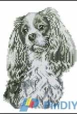 DMC DECO K5767 Cavalier King Charles Spaniel