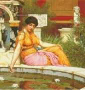 Golden Kite GK227 A Lily Pond