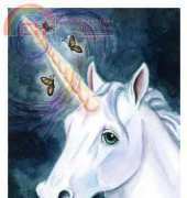 HAED - HAELVQS 230 QS Unicorns Magic by Lisa Victoria