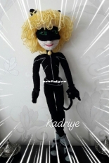 Cat Noir