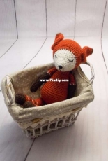 Sleeping Fox