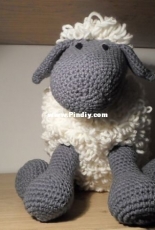 Arnold, the sheep