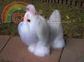 Scare Crow Original - Christine Lucas - Shih Tzu dog