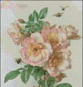FIORI 96